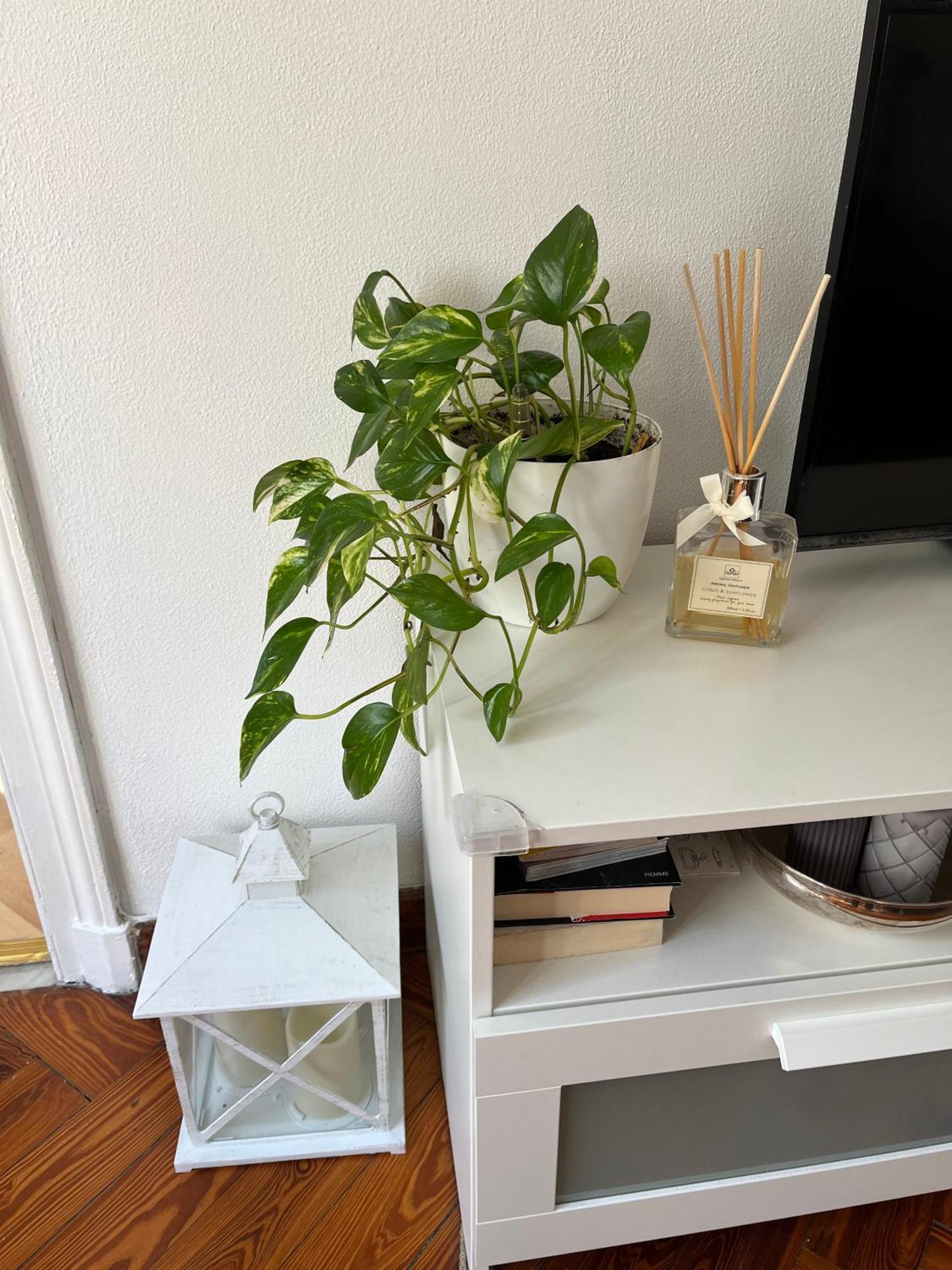 In Piazzetta A Nervi Apartment Genoa Ngoại thất bức ảnh